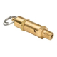 Relief Valve 40 psi 1/4" MPT Tuttnauer
