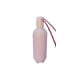Manifold Assembly w/750 ml Bottle for Water Systems