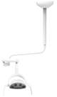 Ceiling mount Whale LED Light Dental